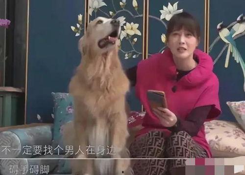 黄安爆料周海媚身世视频,一段尘封的往事